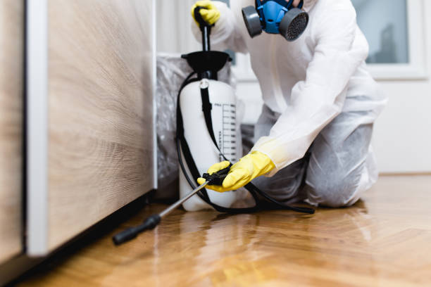 Best Affordable Pest Control Services  in Bowdon, GA