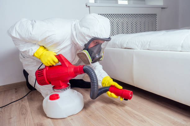 Best Local Pest Control Services  in Bowdon, GA