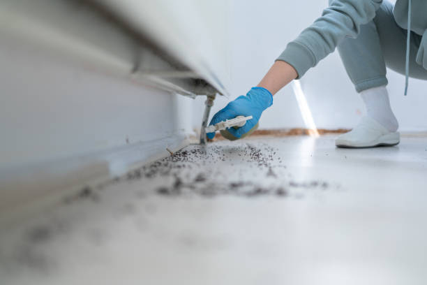 Best Pest Control for Homes  in Bowdon, GA